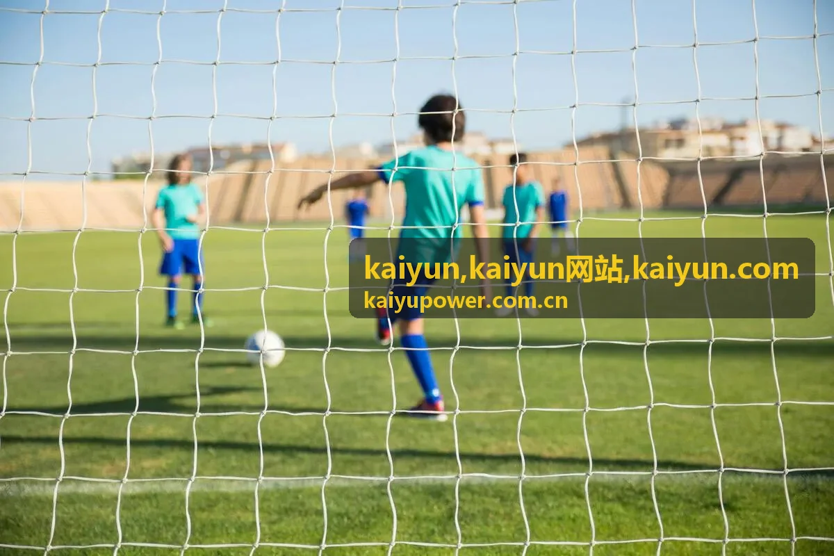 kaiyun网站咨询入口与需求提交方案图